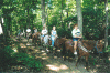 Happy Trails Riding Stables